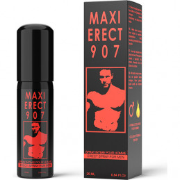 maxi erect 907 spray de montage de ruf