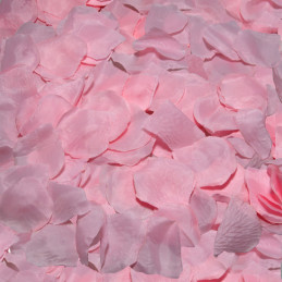 100 pétales roses