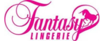 fantasy lingerie